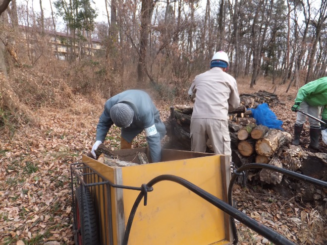 落ち葉プール修理